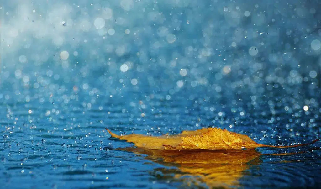 Chove lá fora e aqui faz tanto frio