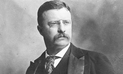 2. Theodore Roosevelt — EUA