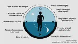 Imagem explicativa sobre ritmo circadiano