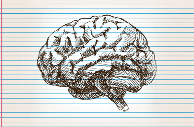 Como funciona a memória nos estudos?
